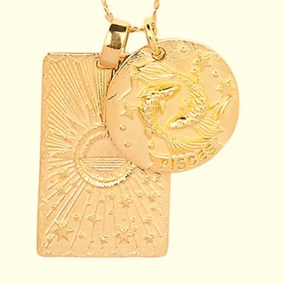 PISCES STARGAZER ZODIAC NECKLACE - Picture 3 of 3